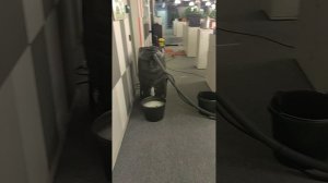 VID_20241103_172228.mp4