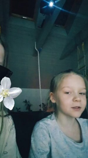 маша и алёна