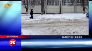 ЖИТЕЛЬ УЛИЦЫ КРАСНЫХ ПАРТИЗАН ПОЖАЛОВАЛСЯ НА ЗАВАЛЕННЫЕ СЧИЩЕННЫМ С ДОРОГ СНЕГОМ ТРОТУАРЫ