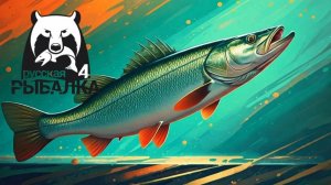 сидим рыбачим и дискутируем