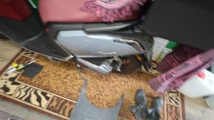 Ariic Gemma 108 после зимней спячки