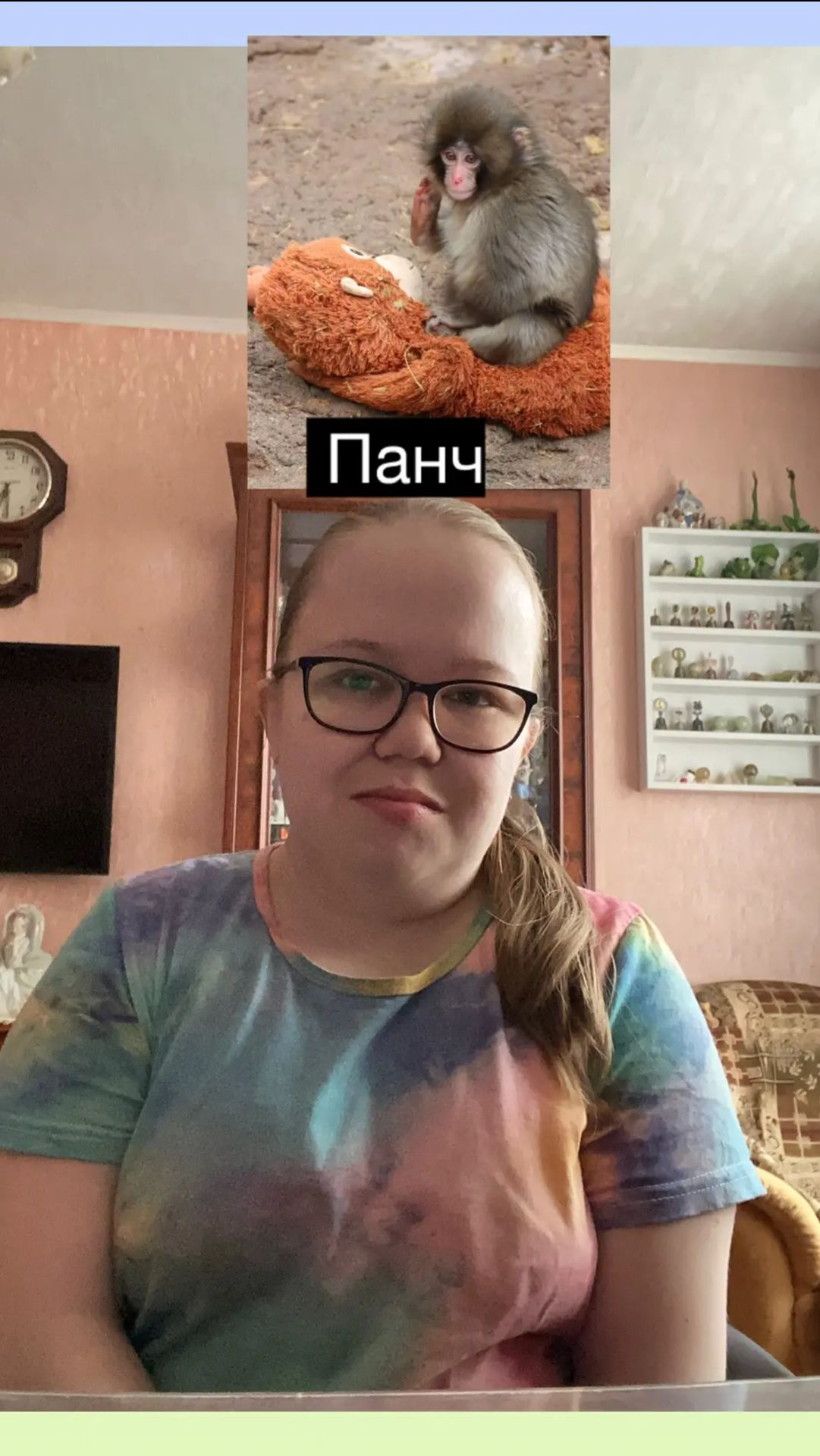 Это игрушка стала мамой для маленькой обезьянки🐒  / для глухих