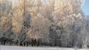 10. Как я провела зиму 2025-2026