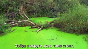 Кременские леса