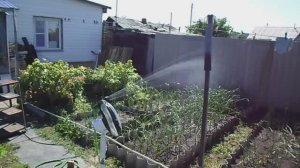 Автоматическая поливалка огорода