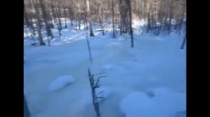 2 января 2019 года