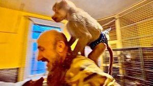 Посмотрите какие удобные штучки сделал Влад для малышей, Люся, Степа, Маня и лаже Тося СЧАСТЛИВЫ)))