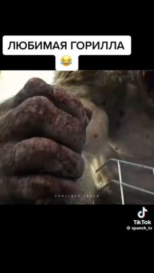 кто лучше?
кинг-конг или Джордж 🦍
пишите в комментариях 👇