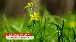 Серебряные бусинки | С любовью от Бога