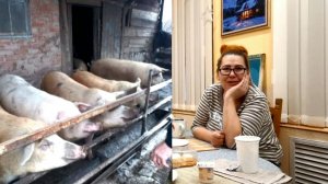 1089 День рождения отмечать не будем. Почему? Ах какие Свиньи.