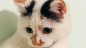 03-03-2026 Каналы спутники!