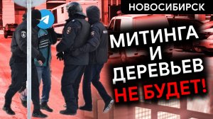 ВЫРУБИЛИ деревья, чтобы ЗАДЕРЖАТЬ жителей Новосибирска!