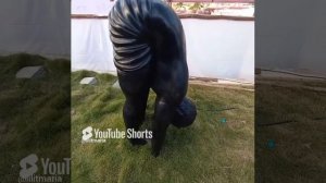 Мудрая Индия. Статуи в г. Пудучерри учат поклонению солнцу, и учат йоге, одновременно.