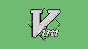 Использование текстового редактора vim в Linux.