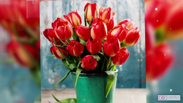 Видеопоздравление с 8 марта