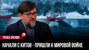 Норвегия добывает китов сотнями — мясо уходит на корм: правда, от которой становится не