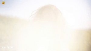 Mega Hits 2026 -  Deep Chill House _ MaHome _ Hazara Jaan _ Vermouth IV