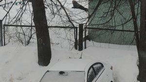 мои мечты в деревне