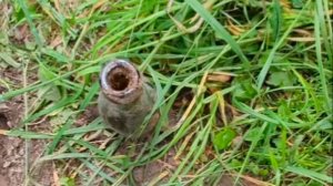 мы нашли бутылку в лесу и откопали её 🏞️🌈💚