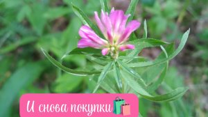 Продолжение подготовки к ярмарке🧶Покупки🛍