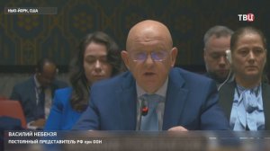 Небензя рассказал о целенаправленных атаках ВСУ на российские школы