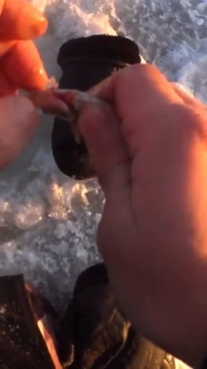 Показываю как ловить на Галстук shorts