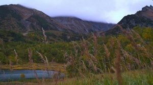 Шум ветра в траве и колосьях — звуки природы для сна и релакса | горное озеро