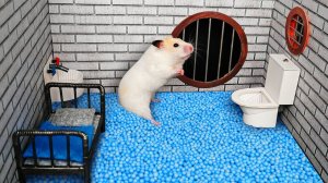 Помоги хомяку выйти из лабиринта. Развивающие мультики для детей смотреть