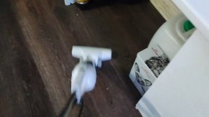 Уборка #580 снова полы)