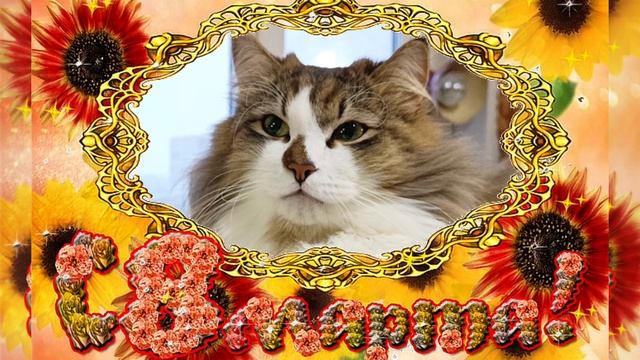 С 8 МАРТА 💐 ПОЗДРАВЛЯЮ!