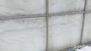 Влог.Жизнь в деревне. Первая посадка рассады . Проводим опыты .