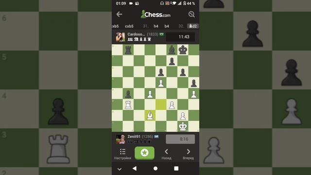 Турнир по шахматам | время 30 минут