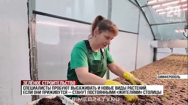 Симферопольские парки, скверы и улицы весной украсят 20 тысяч цветов