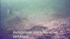 Интересные моменты выезда 23.02.2026