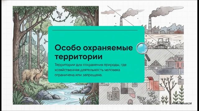 Биология 7 класс параграф 19 ОХРАНА РАСТИТЕЛЬНОГО МИРА краткий пересказ