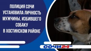 Полиция Сочи установила личность мужчины, избившего собаку в Хостинском районе