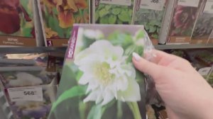 Влог. Лемана Про. Новинки цветов и не только. Садхозторг. Март 2026