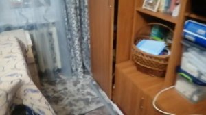 Мой любимый котик