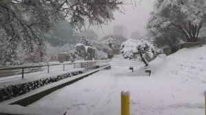 ❄️❄️❄️ СИЛЬНЫЙ СНЕГОПАД в Канаде, Ванкувер