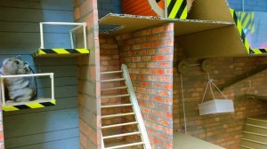 Туалеты и ловушки-лабиринты Troll Hamster в играх про хомяков