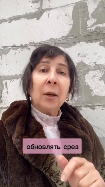 ЧЕРЕНК ПОЧЕРНЕЛ? ЭТО МОЖНО БЫЛО ПРЕДОТВРАТИТЬ