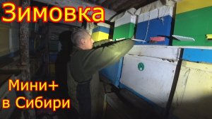 ЗИМОВКА ПЧЁЛ в СИБИРИ! ПОРА ДАВАТЬ КАНДИ, нуклеусы МИНИ + в СИБИРИ