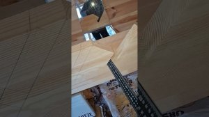 1000049860.mp4 (Собака наблюдает за устройством лестницы на 2-ой этаж в доме А-фрейм)