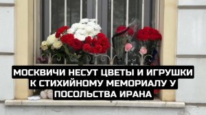 Москвичи несут цветы и игрушки к стихийному мемориалу у посольства Ирана