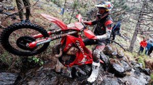 Горы. Скалы. Лес. Эндуро.