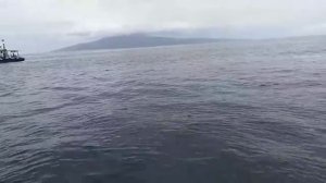 Всплытие подводной лодки