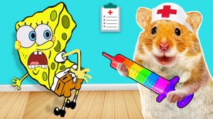 О нет, Губка Боб заболел! Хомяк притворяется, что его осматривает ветеринар ｜ Life Of Pets HamHam