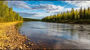 Black Death - Про речку Вачу
