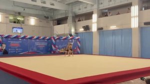 ТР 11-17 лет , Ноак Оливия - Фролова Елена - Фролова Валерия, МАУДО ДТДиМ,Комбинированное упражнение