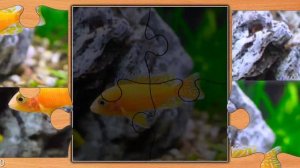 Edujoy Jigsaw Puzzle Epic Рыбки Игра 2026